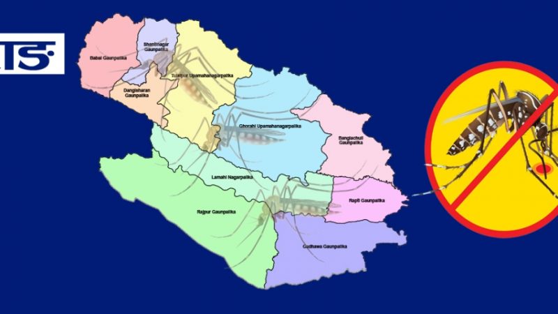 दाङमा पनि डेंगुका संक्रमित बढ्दो, ६३५ जनामा संक्रमण, सावधान अपनाउन दाङका सबै पालिकालाई निर्देशन