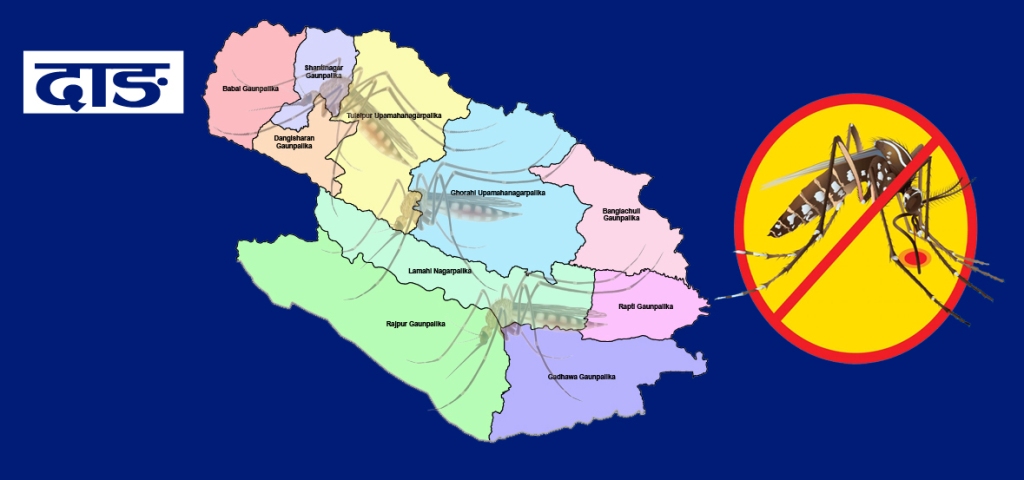 दाङमा पनि डेंगुका संक्रमित बढ्दो, ६३५ जनामा संक्रमण, सावधान अपनाउन दाङका सबै पालिकालाई निर्देशन