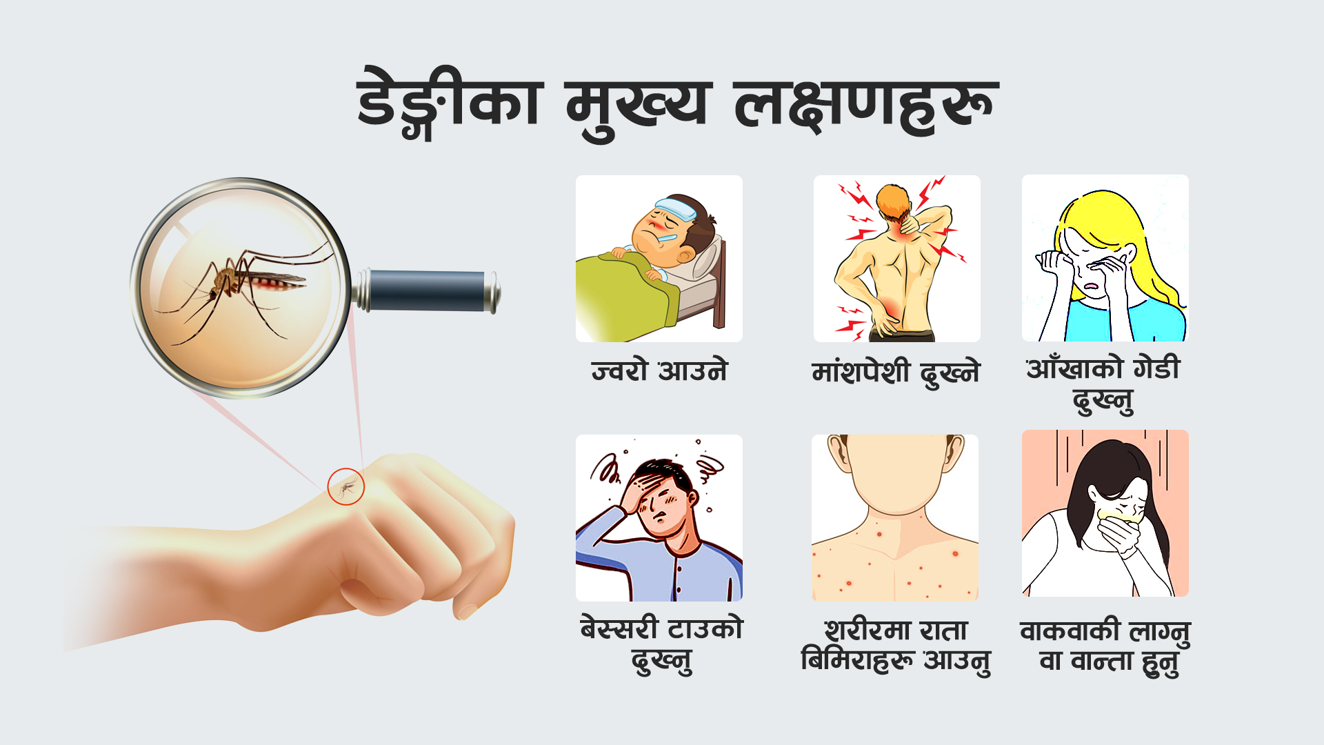 देशभर लामखुट्टेको लार्भा नष्ट गर्ने अभियान सुरु