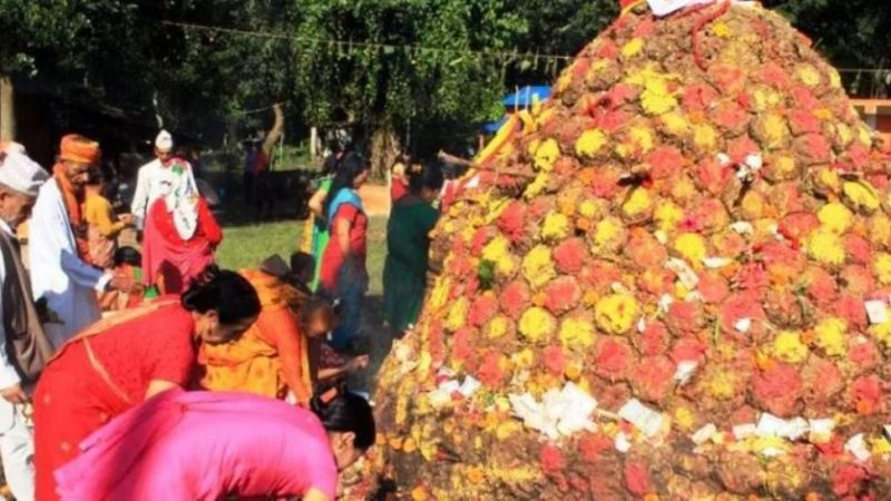 आज गोवर्द्धन पूजा, गोरु, किसान र हलोको पनि पूजा गरिँदै