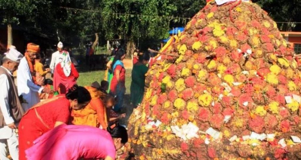 आज गोवर्द्धन पूजा, गोरु, किसान र हलोको पनि पूजा गरिँदै