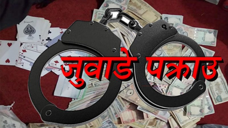 दाङको तुलसीपुरमा जुवाकाे खालबाट १० जना पक्राउ