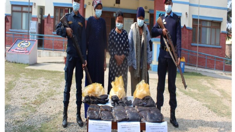 इप्रका कृष्णनगरको ठूलो सफलता १६ केजी अफिम सहित दाङका ३ महिला पक्राउ
