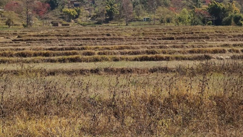 पानी नपर्दा सुक्खापन बढ्यो, तत्कालका लागि हिउँदे वर्षाको सम्भावना छैन