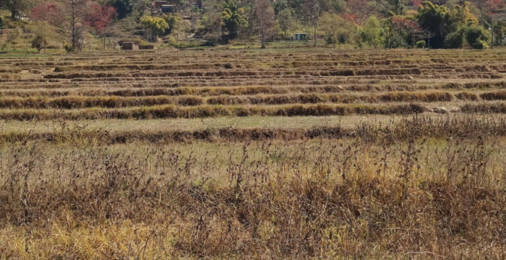 पानी नपर्दा सुक्खापन बढ्यो, तत्कालका लागि हिउँदे वर्षाको सम्भावना छैन