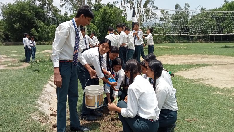 विद्यालयको साैन्दर्यकरणका लागि बिरुवा रोप्दै गोरखा स्कुलका विद्यार्थीहरू