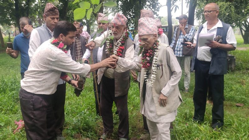 राष्ट्रिय जनमोर्चा दाङले घण्टदेव सामुदायिक वनमा वृक्षारोपण गरेर हिरक जयन्ती मनायाे