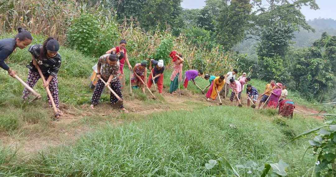 राप्ती गाउँपालिकामा जनश्रमदान गर्ने चलन मौलाउँदै