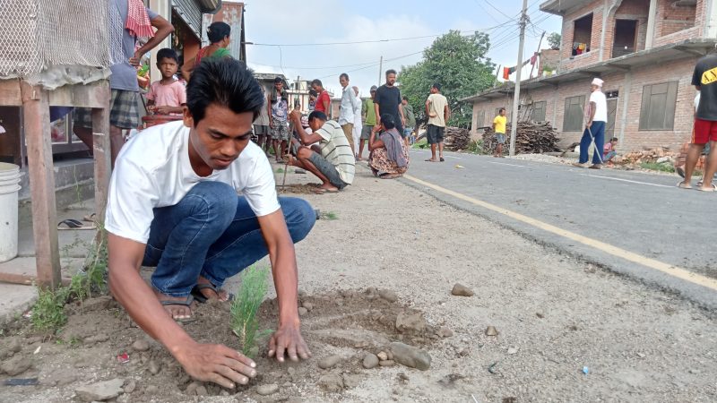 राप्ती चक्रपथ साैन्दर्यकरणका लागि वृक्षारोपण