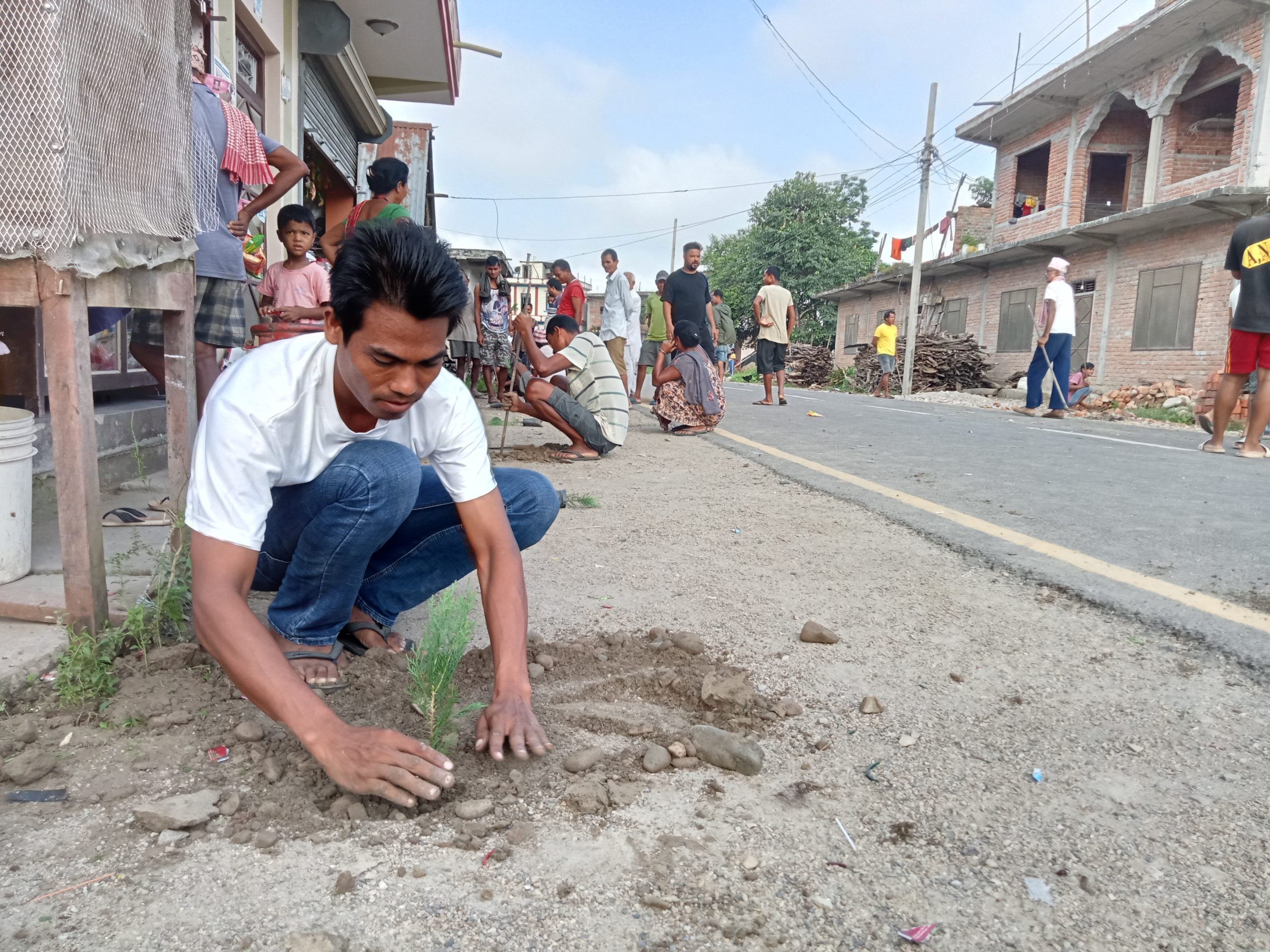 राप्ती चक्रपथ साैन्दर्यकरणका लागि वृक्षारोपण