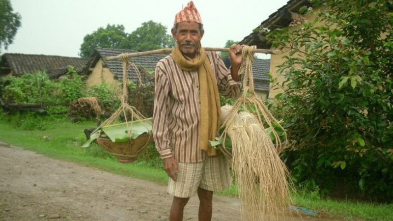 दाङ सहित पश्चिम नेपालका थारु समुदायले आज अट्वारी पर्व मनाउँदै