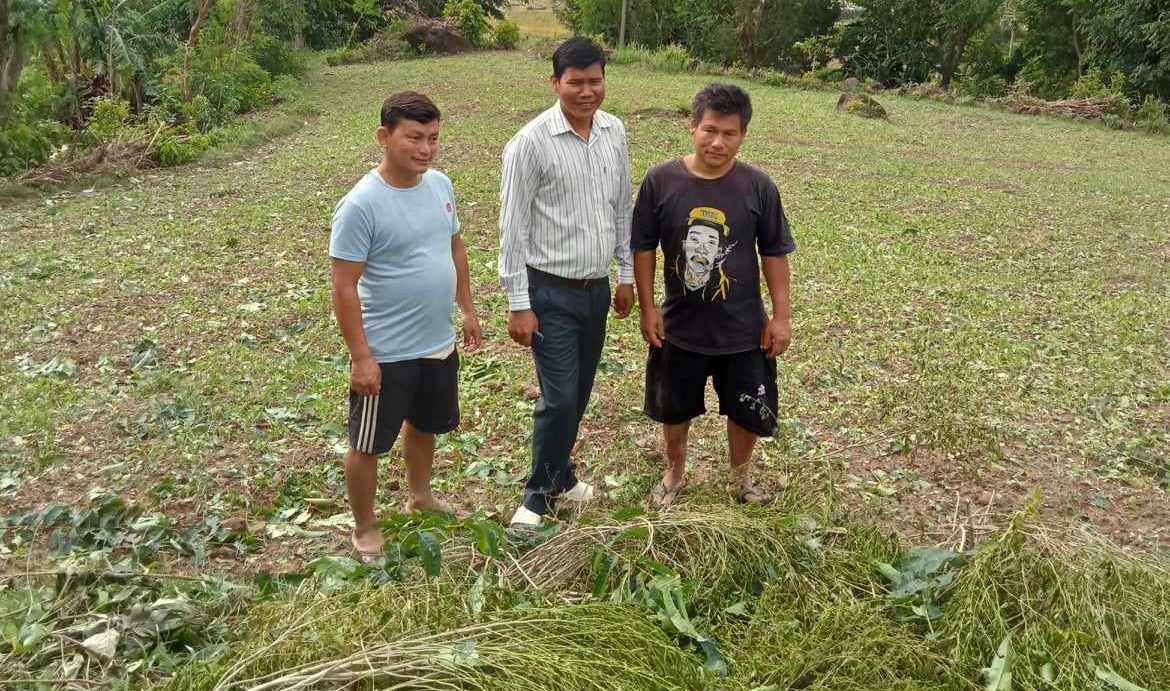 असिना पानीले राप्तीका विभिन्न वडामा ताेरी तथा तरकारी बालीमा क्षती