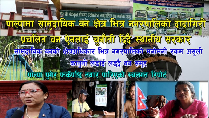 पाल्पामा सामुदायिक वन क्षेत्रभित्र नगरपालिकाको दादागिरी, वन ऐनलाई चुनौती दिंदै स्थानीय सरकार