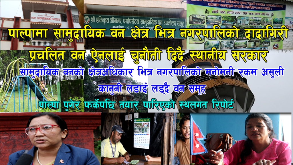 पाल्पामा सामुदायिक वन क्षेत्रभित्र नगरपालिकाको दादागिरी, वन ऐनलाई चुनौती दिंदै स्थानीय सरकार