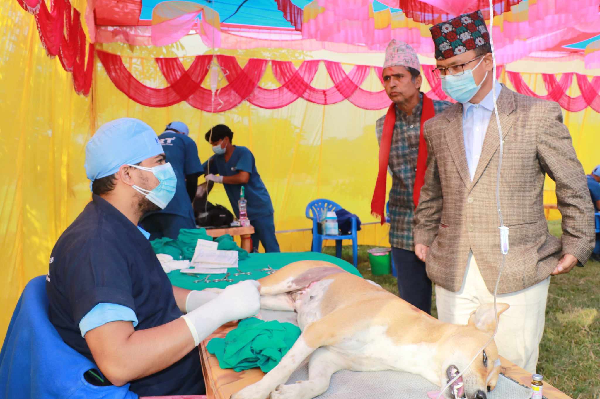 राप्ती गाउँपालिकामा कुकुरको स्थायी बन्ध्याकरण गर्न शुरु