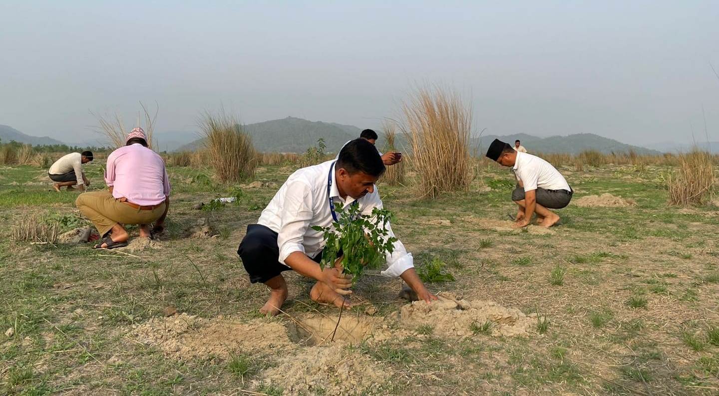 विश्व वातावरण दिवसको अवसरमा राप्तीमा १ हजार ८ सय बढी बिरुवा रोपियाे