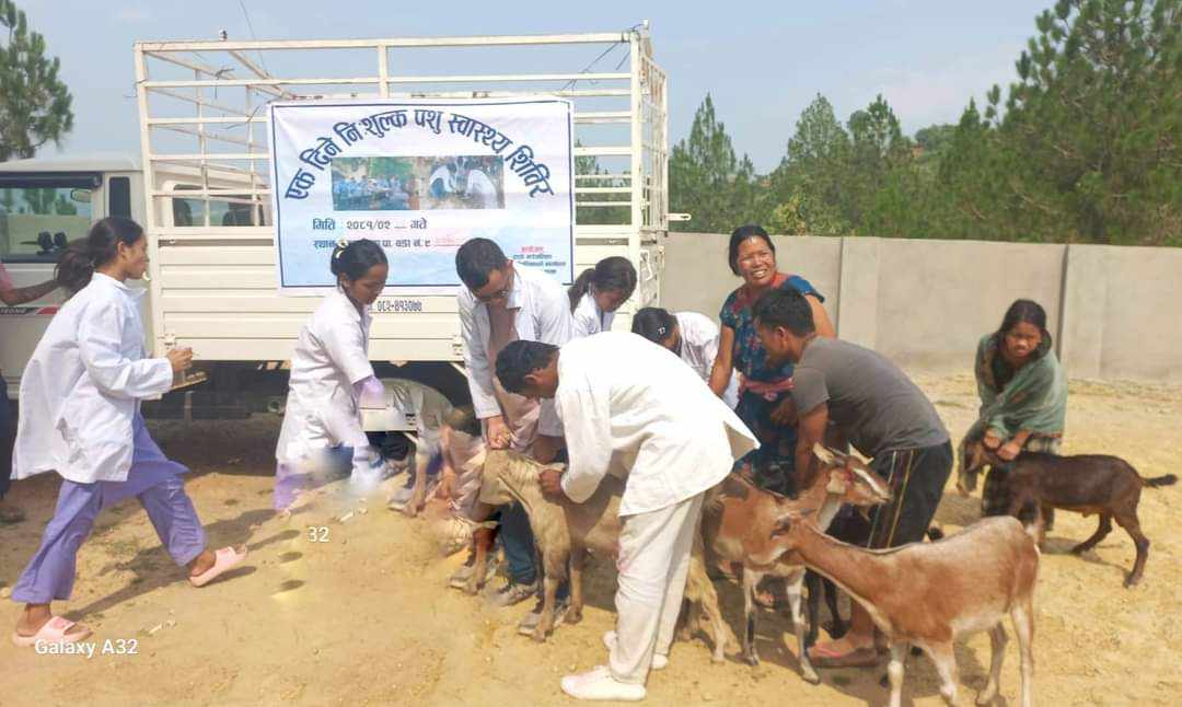 राप्तीमा निशुल्क पशु स्वास्थ्य शिविर सम्पन्न, ४ हजार बढी पशुको उपचार