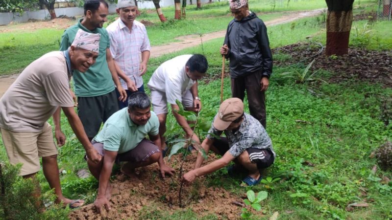 दयाराम चाैधरीले आफ्नो ३८ औं जन्म दिनमा भिम बगैचामा आँपका बिरुवा रोपेर मनाए