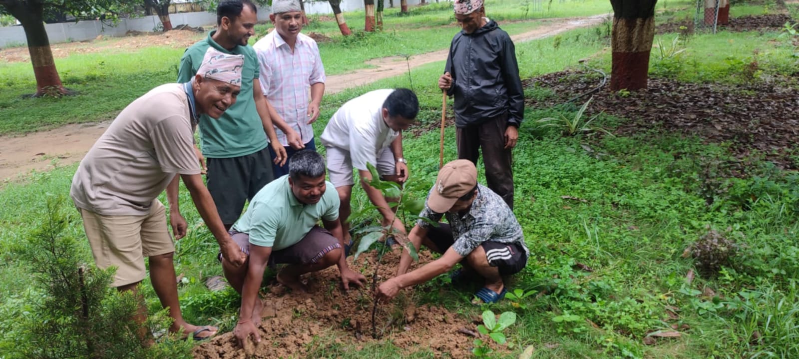 दयाराम चाैधरीले आफ्नो ३८ औं जन्म दिनमा भिम बगैचामा आँपका बिरुवा रोपेर मनाए