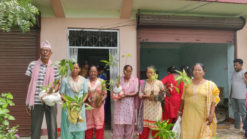 राप्तीका १५५ जना कृषकहरूलाई नामसालिङ संस्थाद्वारा फलफूलका बिरुवा वितरण