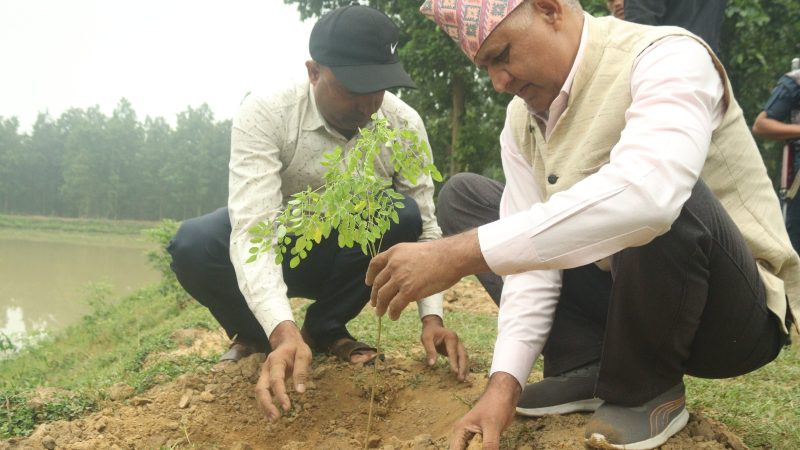 पारिस्थितिक प्रणाली जोगाई राख्न वातावरणमैत्री व्यवहार आवश्यक : मुख्यमन्त्री आचार्य