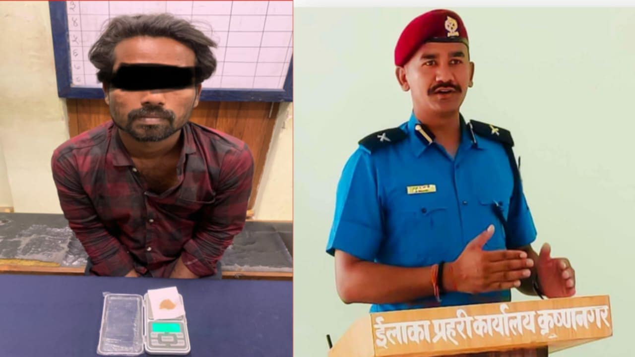 कृष्णनगरबाट लागु औषध करोबारी तथा सेवनकर्ता धमाधम पक्राउ पर्दै