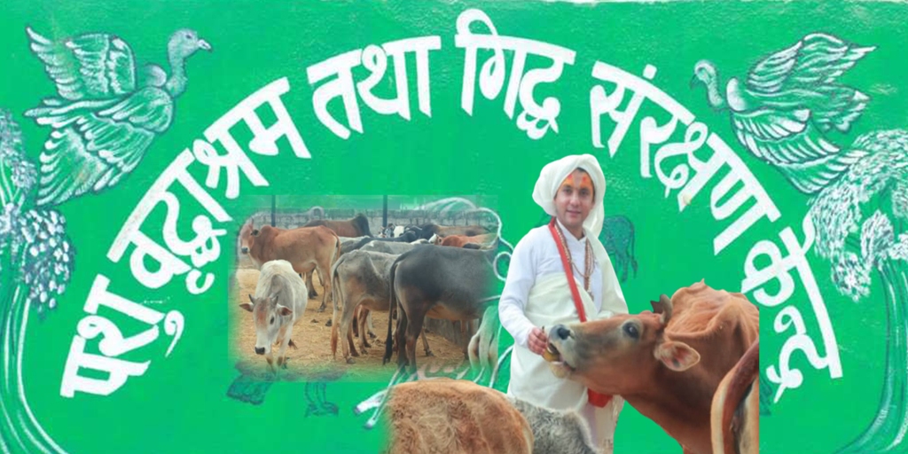 राप्ती गाउँपालिकाको पशुवृद्वा आश्रममा आहाराको अभाव