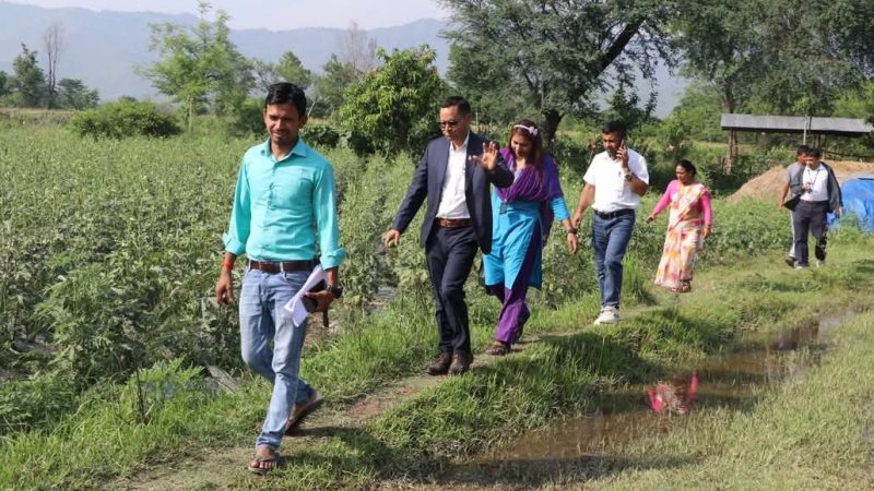 राप्तीमा ३ कठ्ठा सम्म तरकारी खेती गर्ने किसानलाई प्रति कठ्ठा २ हजार रुपैयाँ अनुदान दिइने