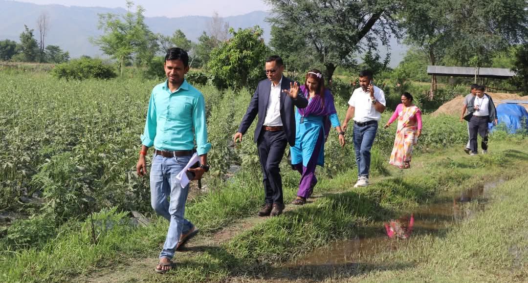 राप्तीमा ३ कठ्ठा सम्म तरकारी खेती गर्ने किसानलाई प्रति कठ्ठा २ हजार रुपैयाँ अनुदान दिइने