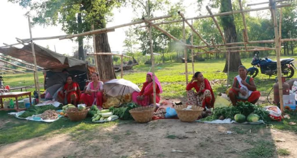 मसुरिया हाटबजारमा टहराको अभाव, किसान आफैले बनाए टहरा