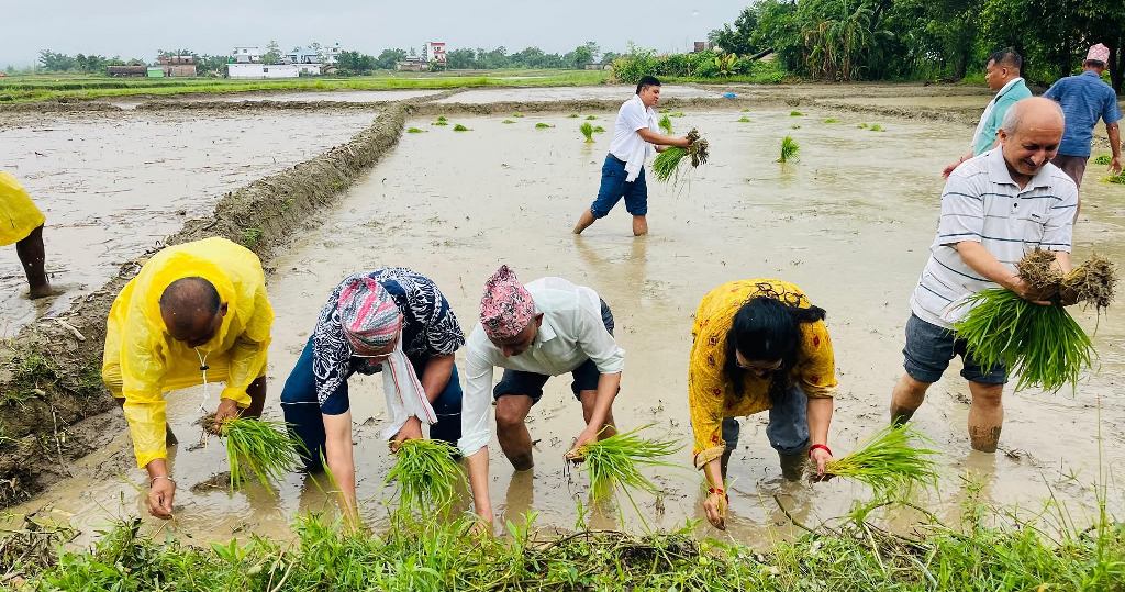 लुम्बिनी प्रदेशद्धारा देउखुरीकाे केरुनियामा २२ औं राष्ट्रिय धान दिवस मनाईयाे (फाेटाे फिचर सहित)
