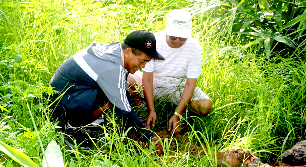 देउखुरीकाे हरियाली साकाेसद्धारा कालापानी सामुदायिक वनमा बृक्षाराेपण