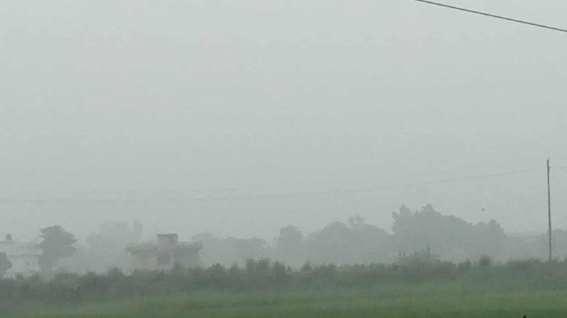 चर्को गर्मी पछि परेको पानीले दाङमा शितलता, किसानहरूलाई राहत