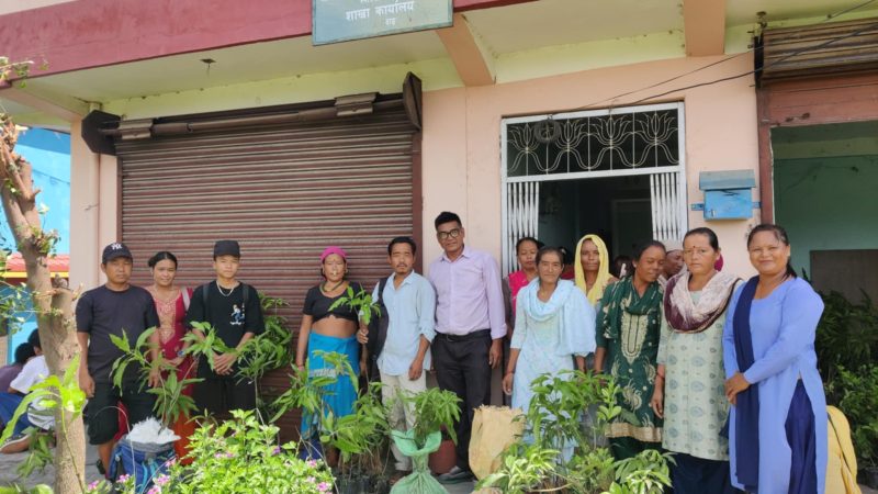 नामसालिङ संस्थाद्वारा राप्तीका १३० जना किसानहरुलाई फलफूलका बिरुवा वितरण