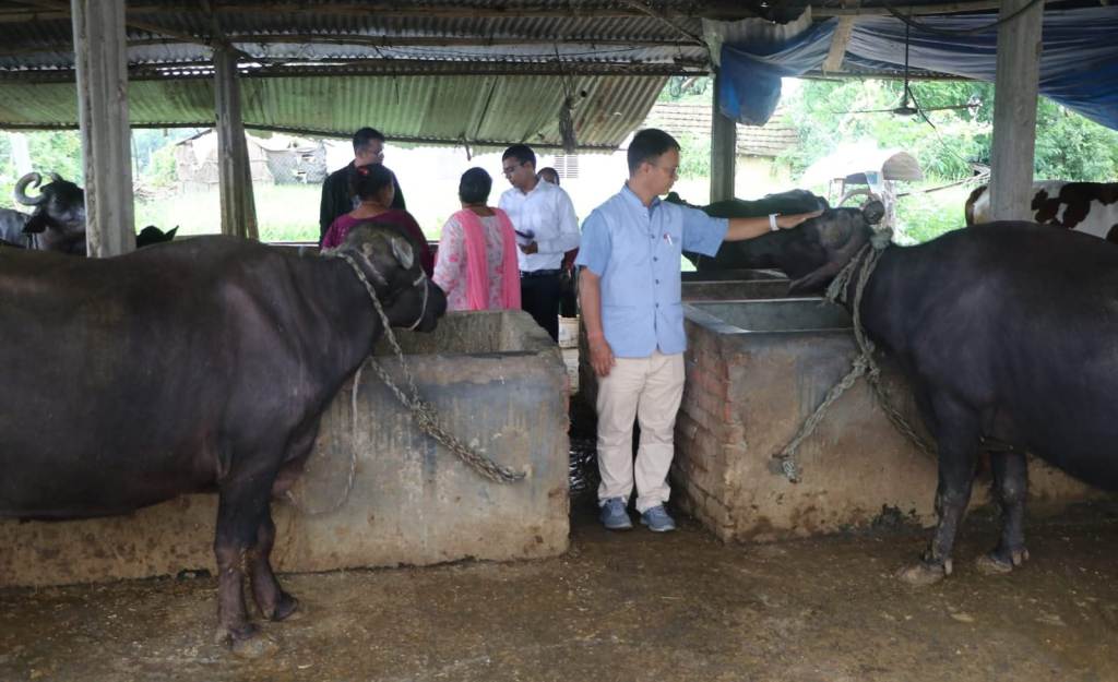 राप्ती गाउँपालिकाद्वारा दुग्ध उत्पादक किसानलाई १५ लाख भन्दा बढी प्रोत्साहन रकम प्रदान