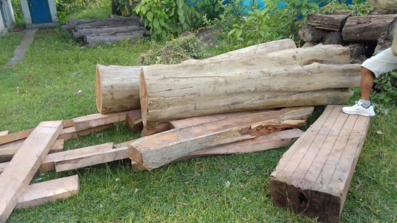 गढवा- ७ का वडा अध्यक्ष राहुलदेव चौधरीको घरबाट ५८ क्विफिट काठ बरामद