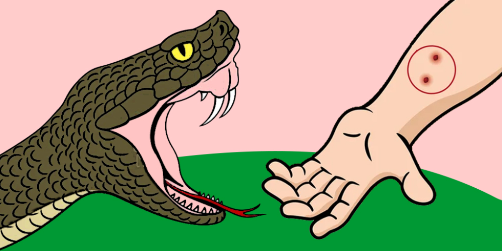 देउखुरीको राप्तीमा सर्पले डसेर बालकको मृत्यु