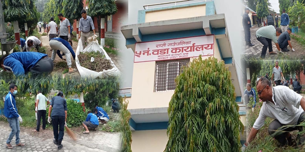 दाङको राप्तीमा युवा चेम्बरले सरसफाइ कार्यक्रम गरेर अन्तराष्ट्रिय युवा दिवस मनायाे