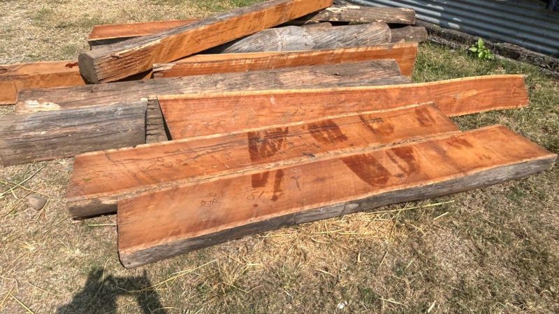 दाङको भालुवाङबाट १४ थान अबैध सालको चिरान काठ सहित २ जना पक्राउ