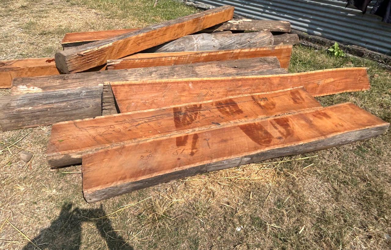 दाङको भालुवाङबाट १४ थान अबैध सालको चिरान काठ सहित २ जना पक्राउ