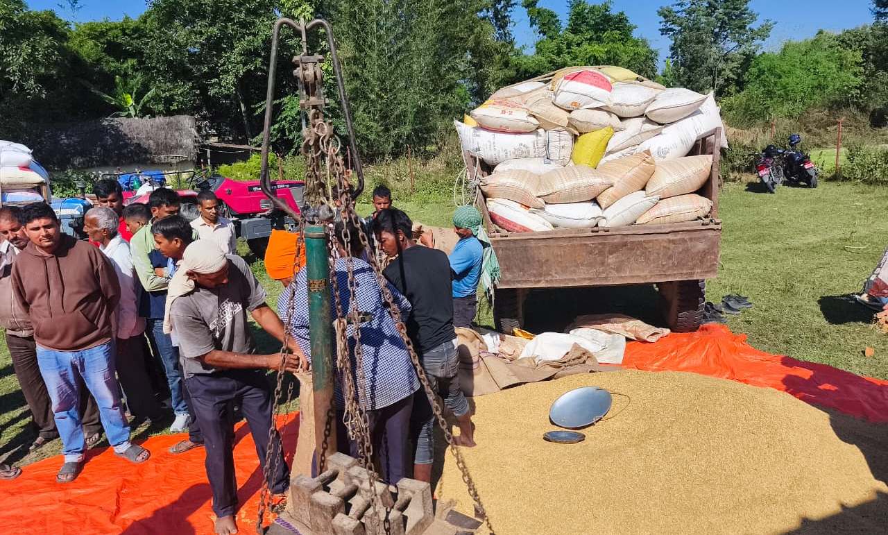 गढवामा सरकारी दरमा धान खरिद, सिमित कोटाले किसान चिन्तित