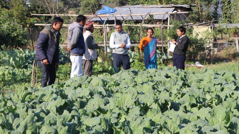 राप्तीमा करार खेती कार्यक्रम प्रभावकारी बन्दै, कृषक उत्साहित