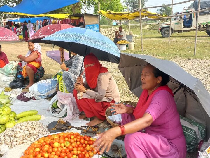 चर्को घाममा छातामुनि व्यापार : राप्ती–३ को हाट बजारमा टहरा अभावले किसान पीडित