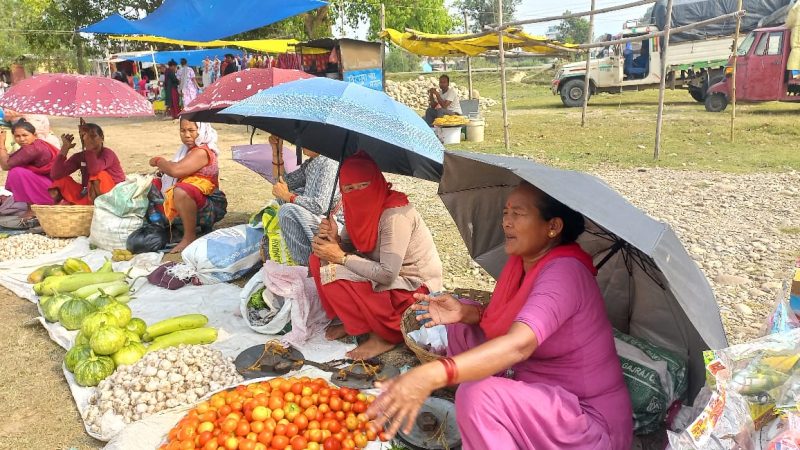 चर्को घाममा छातामुनि व्यापार : राप्ती–३ को हाट बजारमा टहरा अभावले किसान पीडित