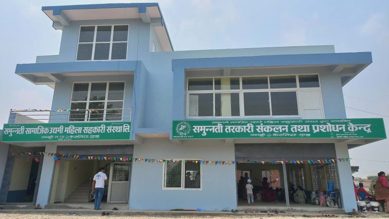 समुन्नती सहकारीद्धारा तरकारी संकलन तथा प्रशोधन केन्द्र स्थापना :  बजारीकरणमा सहज