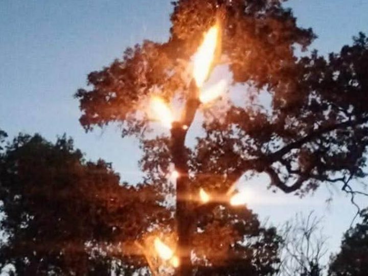 गढवा–७ शान्तिपुरमा वनको डढेलो बस्तीमा पस्दा दुई घर जलेर नष्ट