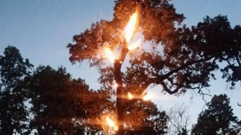 गढवा–७ शान्तिपुरमा वनको डढेलो बस्तीमा पस्दा दुई घर जलेर नष्ट