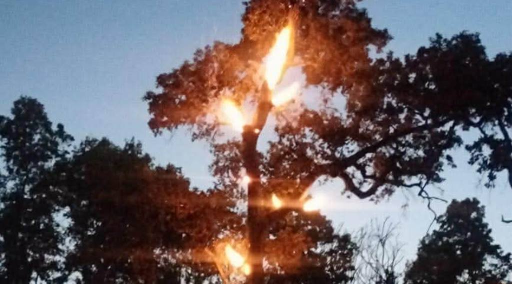 गढवा–७ शान्तिपुरमा वनको डढेलो बस्तीमा पस्दा दुई घर जलेर नष्ट