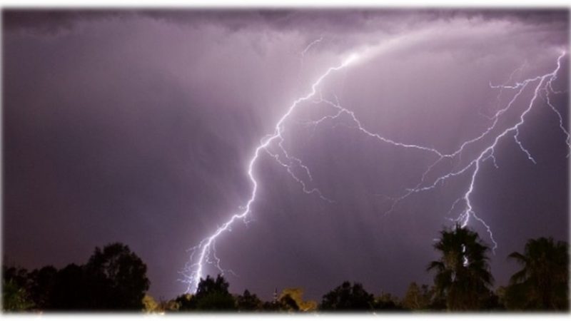 प्यूठानमा चट्याङ लागेर बावुछोराको मृत्यु