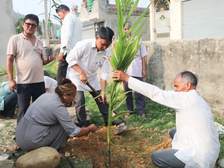 विश्व वातावरण दिवसको अवसरमा राप्तीमा वृक्षारोपण